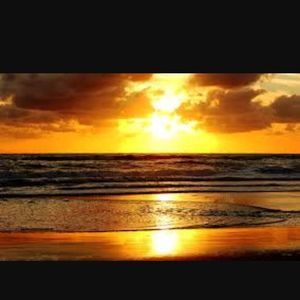 Meet your Posher, Pete